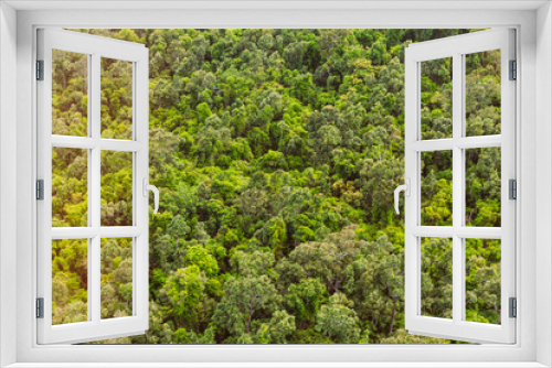 Fototapeta Naklejka Na Ścianę Okno 3D - Wald von oben, Urwald in Australien