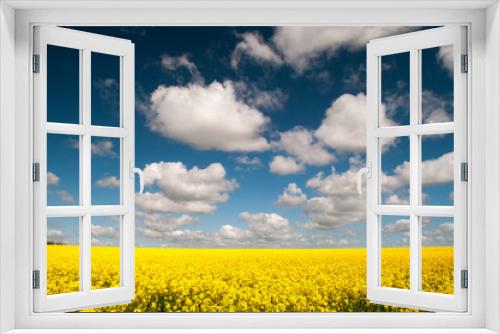 Fototapeta Naklejka Na Ścianę Okno 3D - Yellow Flowers, Blue Sky