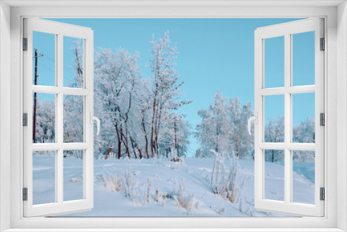 Fototapeta Naklejka Na Ścianę Okno 3D - beautiful winter landscape trees in snow evening
