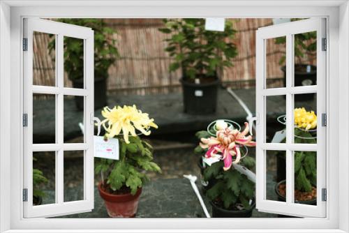 Fototapeta Naklejka Na Ścianę Okno 3D - The beautiful flowers for sale