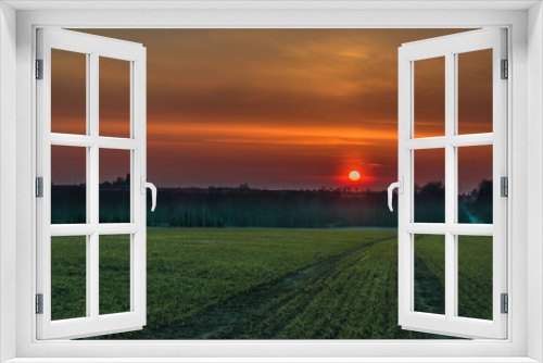 Fototapeta Naklejka Na Ścianę Okno 3D - sunset over field
