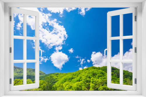 Fototapeta Naklejka Na Ścianę Okno 3D - 新緑の山とわた雲