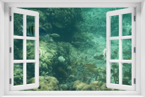 Fototapeta Naklejka Na Ścianę Okno 3D - Wasser