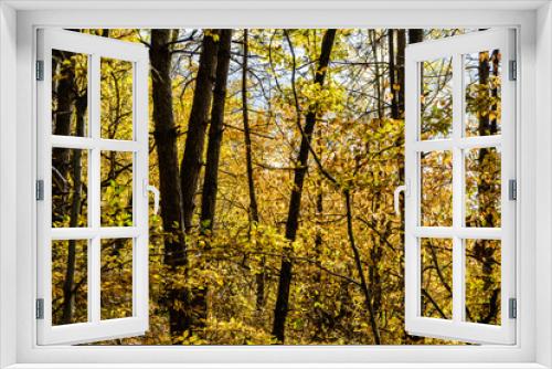 Fototapeta Naklejka Na Ścianę Okno 3D - Autumnal travel landscape