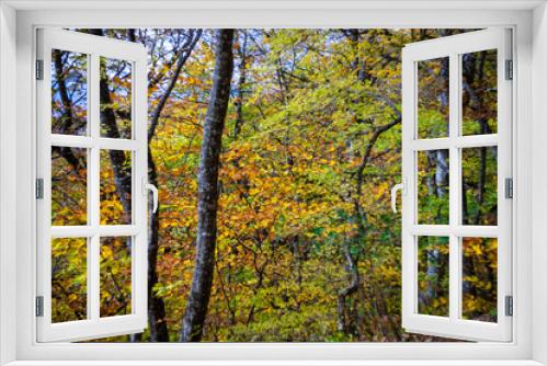 Fototapeta Naklejka Na Ścianę Okno 3D - Autumnal travel landscape