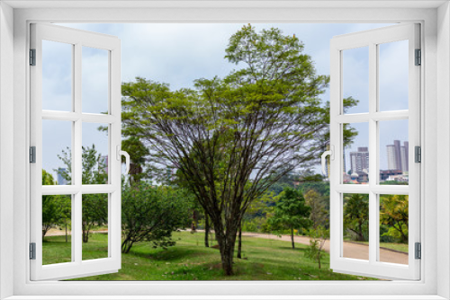 Fototapeta Naklejka Na Ścianę Okno 3D - Tree in the Park HDR