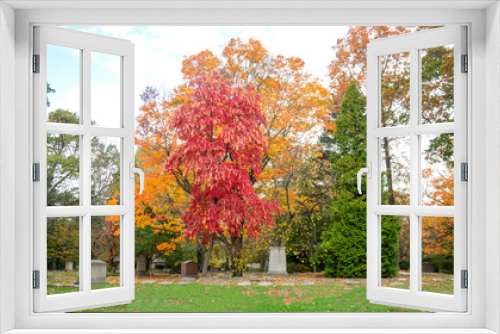 Fototapeta Naklejka Na Ścianę Okno 3D - Beautiful Rest on a Fall Day