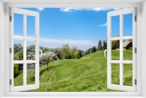 Fototapeta Naklejka Na Ścianę Okno 3D - Zueri Oberland Wiese
