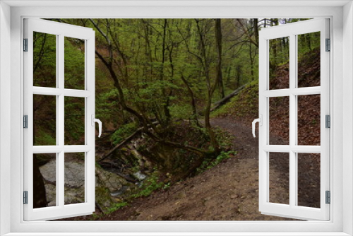 Fototapeta Naklejka Na Ścianę Okno 3D - Forest path by a stream in Hungary
