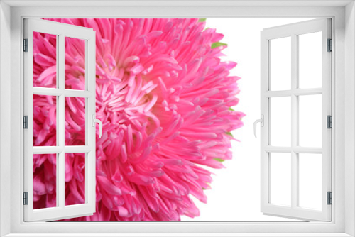 Fototapeta Naklejka Na Ścianę Okno 3D - Beautiful pink aster flower on white background, closeup