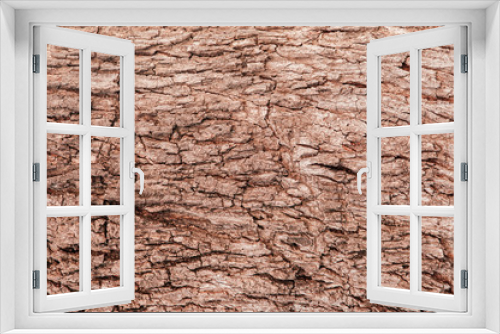 Fototapeta Naklejka Na Ścianę Okno 3D - Old grungy wood bark tree trunk background natural  texture