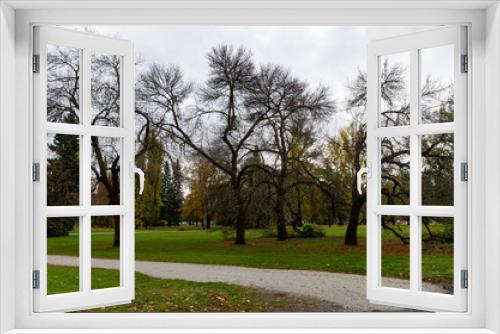 Fototapeta Naklejka Na Ścianę Okno 3D - Autumn in a park