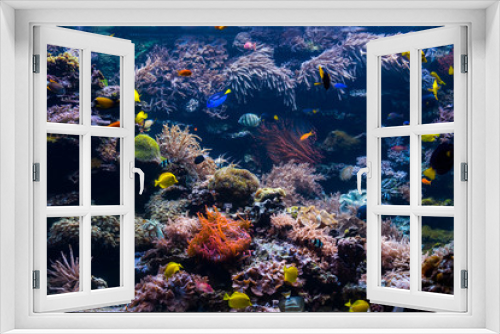Fototapeta Naklejka Na Ścianę Okno 3D - Underwater Scene With Coral Reef And Tropical Fish