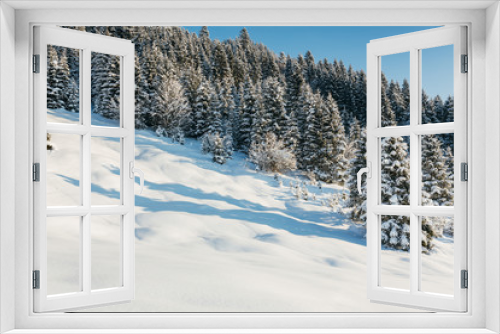 Fototapeta Naklejka Na Ścianę Okno 3D - zwei Brüder im Schnee