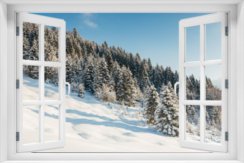 Fototapeta Naklejka Na Ścianę Okno 3D - Schneewald