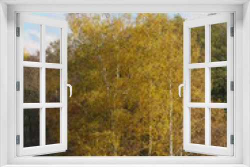 Fototapeta Naklejka Na Ścianę Okno 3D - herbst