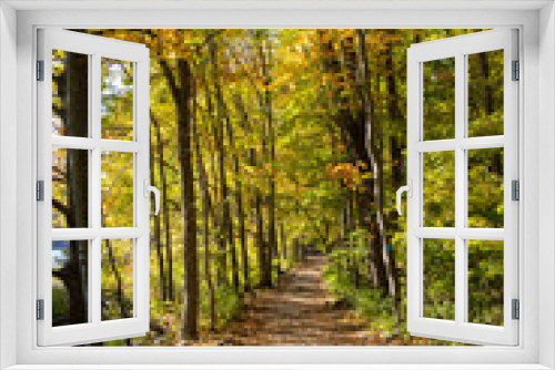 Fototapeta Naklejka Na Ścianę Okno 3D - A path through the woods in fall.