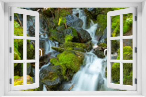 Fototapeta Naklejka Na Ścianę Okno 3D - Vertical shot of a small, intimate, idyllic waterfall inside Mt. Rainier National Park, shot from tripod using slow shutter speed to blur the moving water.