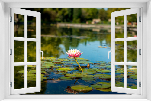 Fototapeta Naklejka Na Ścianę Okno 3D - garden Sigurta' italy 
