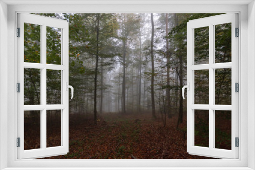 Fototapeta Naklejka Na Ścianę Okno 3D - Nebel im Wlad
