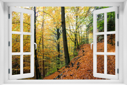 Fototapeta Naklejka Na Ścianę Okno 3D - Autumn moments