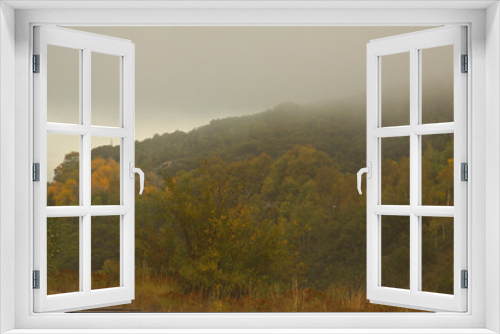 Fototapeta Naklejka Na Ścianę Okno 3D - Mountain valley surrounded by fog with fall colors in the background
