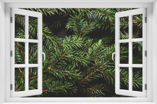 Fototapeta Naklejka Na Ścianę Okno 3D - Christmas tree branches. Christmas concept, nature, winter. Background for postcards. Flat lay, top view