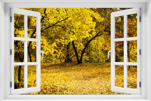 Fototapeta Naklejka Na Ścianę Okno 3D - golden autumn