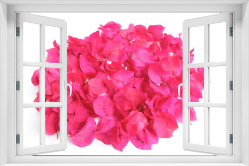 Fototapeta Naklejka Na Ścianę Okno 3D - pink flower isolated on white background