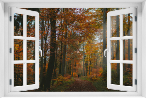 Fototapeta Naklejka Na Ścianę Okno 3D - Herbstwald am Taunus.