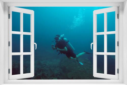 Fototapeta Naklejka Na Ścianę Okno 3D - Beautiful underwater nature in Thailand