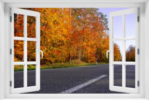 Fototapeta Naklejka Na Ścianę Okno 3D - Strasse Herbst bunte Bäume