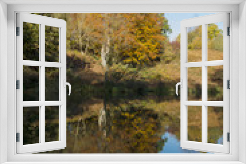 Fototapeta Naklejka Na Ścianę Okno 3D - Autumn reflected