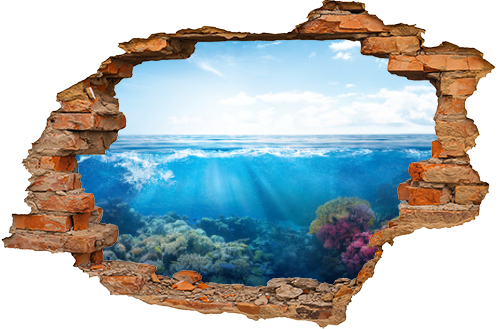 background of beautiful coral reef with marine tropical fish visited here