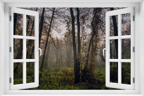 Fototapeta Naklejka Na Ścianę Okno 3D - Nature in morning
