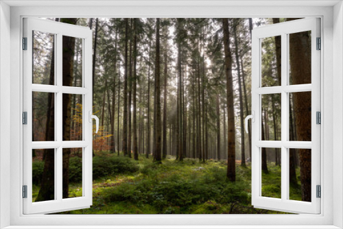 Fototapeta Naklejka Na Ścianę Okno 3D - Landschaft um den Titisee - Schwarzwald 
