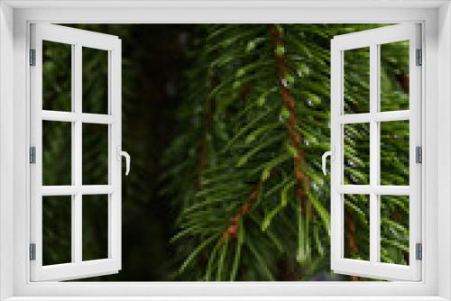 Fototapeta Naklejka Na Ścianę Okno 3D - green needles Christmas tree closeup background