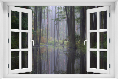 Fototapeta Naklejka Na Ścianę Okno 3D - Odbicie lasu