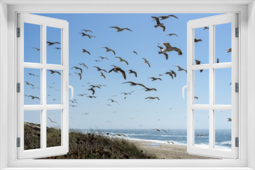 Fototapeta Naklejka Na Ścianę Okno 3D - Seagulls flying with the sea in the background