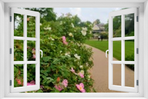 Fototapeta Naklejka Na Ścianę Okno 3D - El jardin