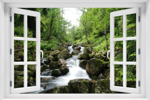 Fototapeta Naklejka Na Ścianę Okno 3D - Forest stream