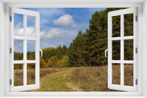 Fototapeta Naklejka Na Ścianę Okno 3D - landscape with trees and blue sky