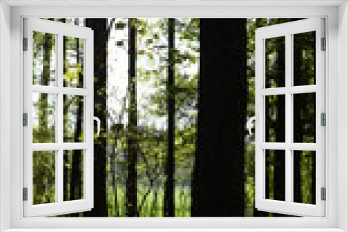 Fototapeta Naklejka Na Ścianę Okno 3D - przyroda