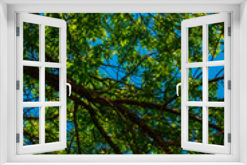 Fototapeta Naklejka Na Ścianę Okno 3D - tree in the sky