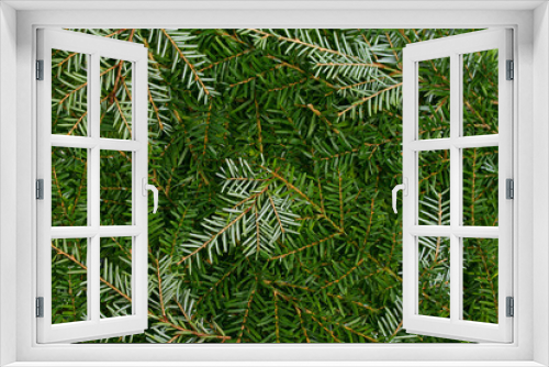Fototapeta Naklejka Na Ścianę Okno 3D - Layout made of Christmas tree branches. Mockup, flat lay. Christmas and New Year winter season concept