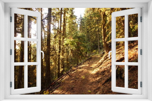 Fototapeta Naklejka Na Ścianę Okno 3D - Landscapes of the Pacific Northwest
