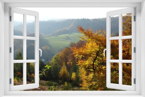 Fototapeta Naklejka Na Ścianę Okno 3D - Wanderung durch den Herbstwald zur Burg Montclair