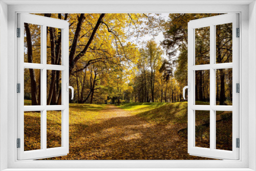 Fototapeta Naklejka Na Ścianę Okno 3D - Landscape of Golden autumn in the Park where there are old oaks. Kuskovo, Moscow, Russia.