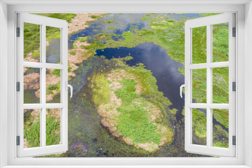 Fototapeta Naklejka Na Ścianę Okno 3D - Aerial view of Pantanal wetlands landscape with Jabiru storks and Great egrets, Mato Grosso, Brazil