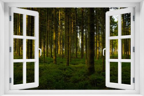 Fototapeta Naklejka Na Ścianę Okno 3D - Forêt Belge